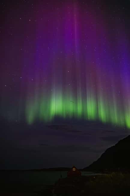 Bodø: Northern Lights safari - Price, Duration, and What You’re Really Buying