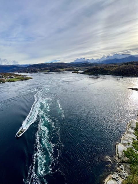 Bodø: Saltstraumen RIB Safari - Saltstraumen RIB Safari from Bodø, what the ride is really like