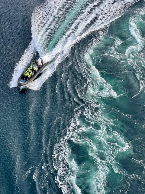 Bodø: Saltstraumen RIB Safari - Why the world’s strongest tidal current feels different up close
