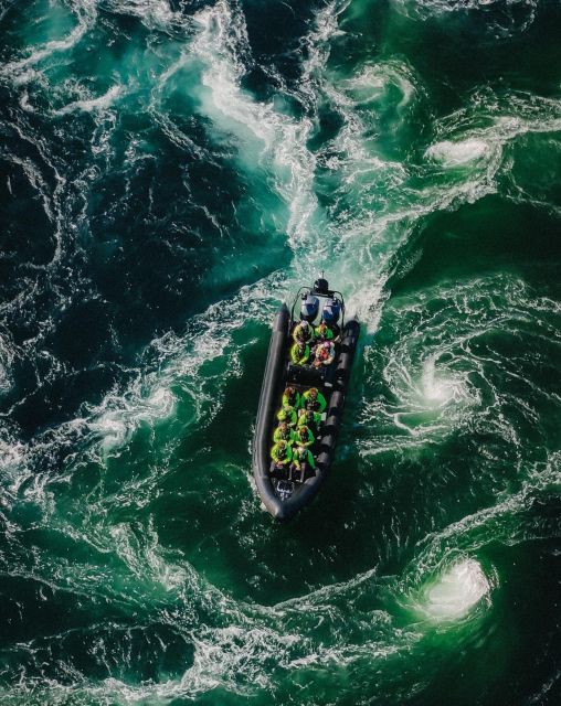 Bodø: Saltstraumen Sea Eagle Trip by RIB - Key Highlights I’d Prioritize