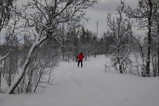 Cross-Country Ski Lesson for Beginners in Tromso - Gear and clothing: what’s included, what’s not, and what you should plan for