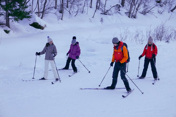Cross-Country Ski Lesson for Beginners in Tromso - Price and value: what you get for about $135