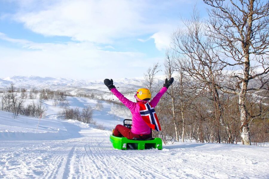 Dagali: 2-Hour Racing Toboggan Adventure - Key things to know before you go