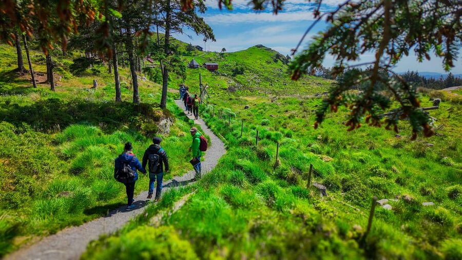 Discover Haugesund and visit a local mountain farmer - From Haugesund Cruisehavn to mountain air in 3 hours