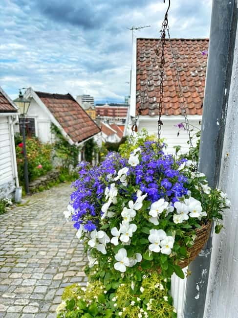 Discover Private+ Stavanger Guided City Tour - Key Things That Make This Tour Work
