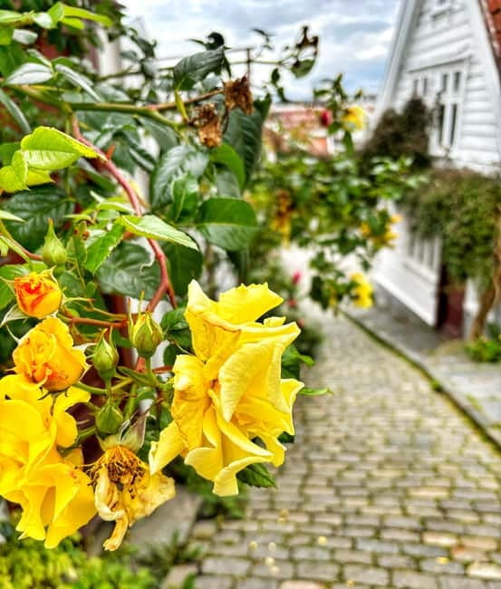 Discover Private+ Stavanger Guided City Tour - How Private+ Really Feels: Personalized, Not Prepackaged