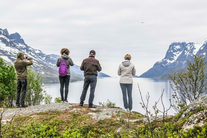 Discover the Fjords of Kvaloya - a roadtrip along fjords and fishing villages - The Ersfjordbotn stop and the lunch moment