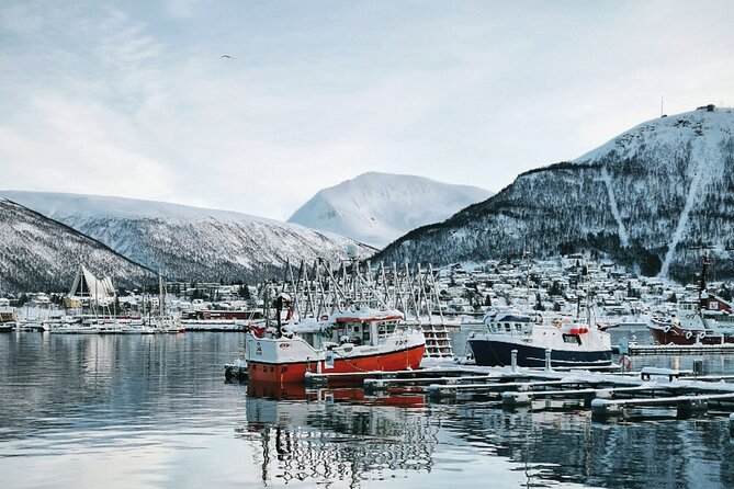 Discover the most Photogenic Spots of Tromsø with a Local - A photo walk through Tromsø that feels like you’re being shown around