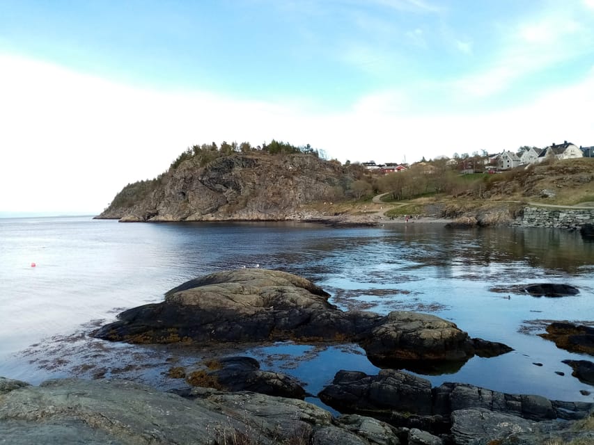 Discovery hike along the Trondheimsfjord - A fjord hike that feels like local life, not just a view