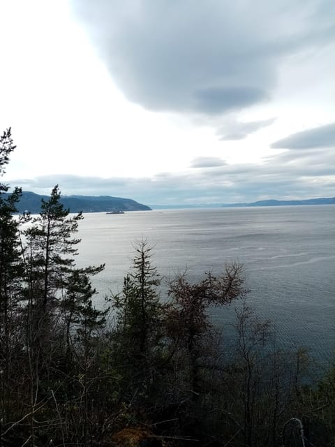 Discovery hike along the Trondheimsfjord - Devlebukta viewpoint: the hike’s payoff as you near the finish