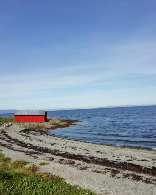 Discovery hike along the Trondheimsfjord - Price and value: what $72 covers (and what it does not)