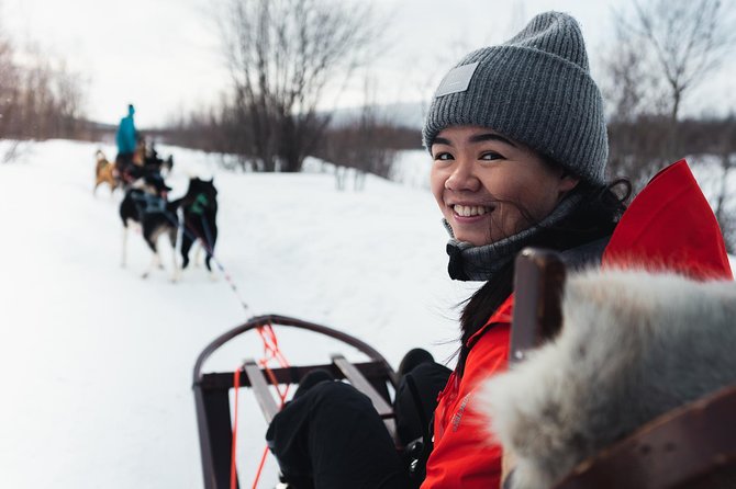 Dog Sled Tour and Husky Cuddles - Alta Husky Sledding: A Winter Day That Feels Personal