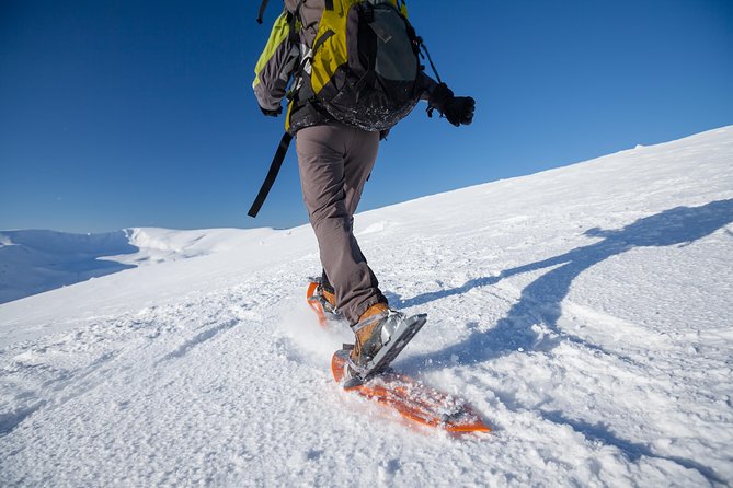 Eco friendly snowshoeing in Scenic Landscape - Your 10:00 am start, small group size, and why timing matters