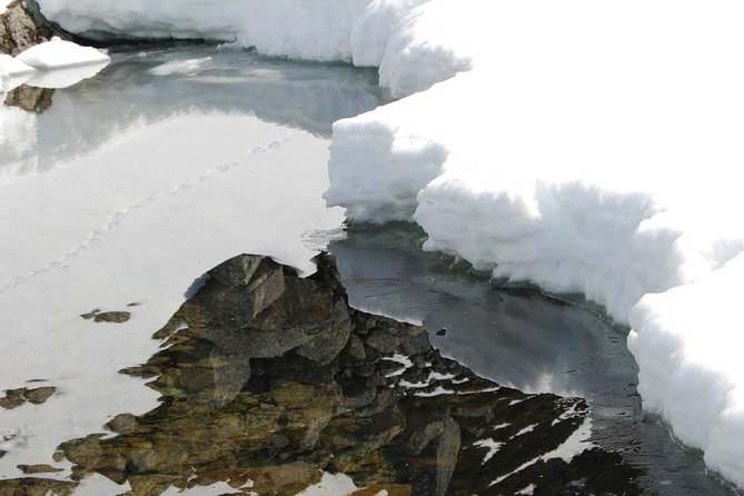 Eco friendly snowshoeing in Scenic Landscape - Wabi Sabi and Magic Ice bar: shop local or go for an ice stop