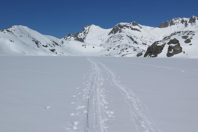 Eco friendly snowshoeing in Scenic Landscape - Polaria first: sea animals as a warm, easy opener