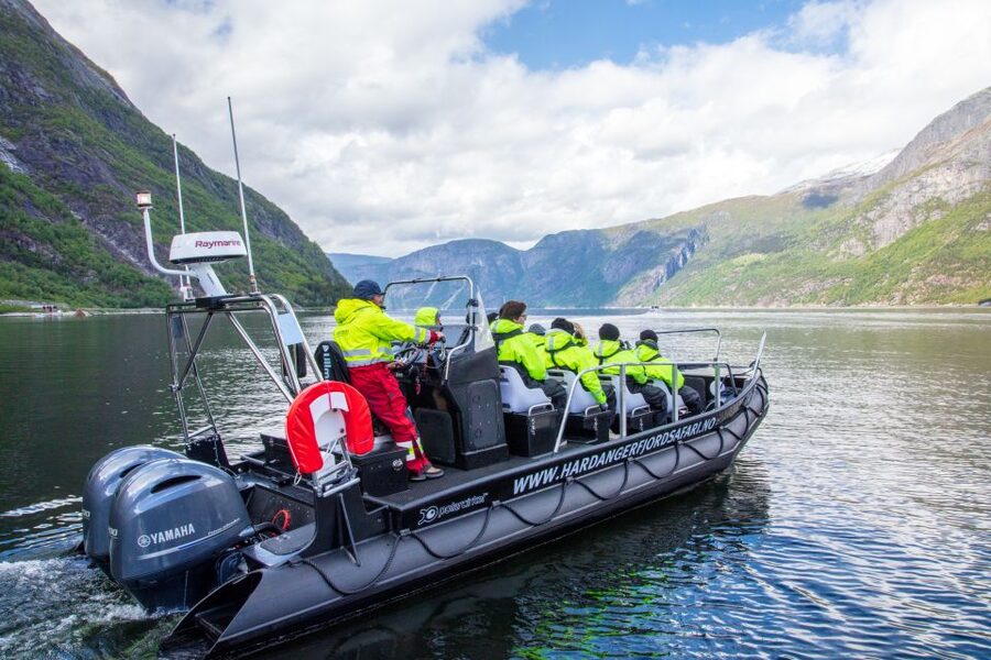 Eidfjord: 1-Hour Fjord RIB Tour - Wildlife spotting: seals, dolphins, eagles, and the goats moment