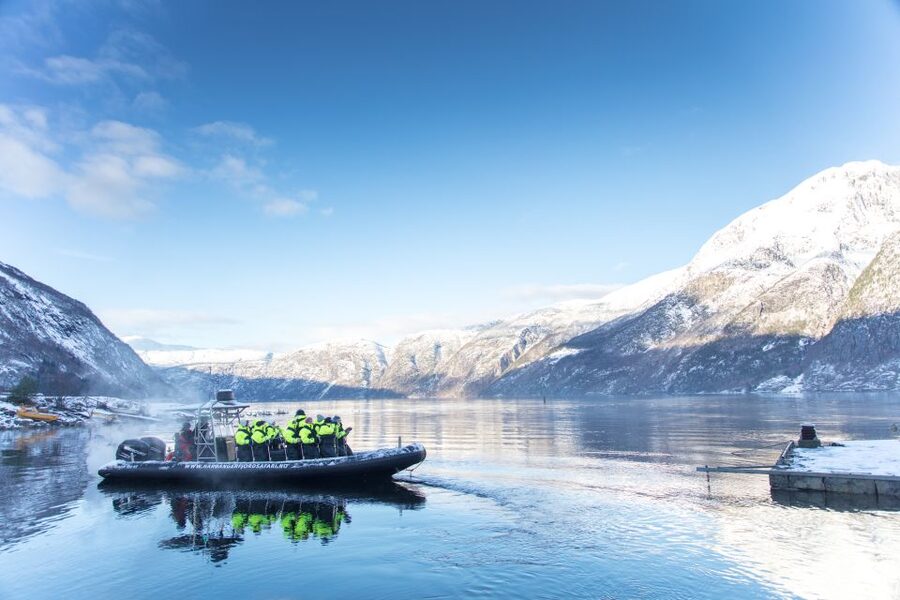Eidfjord: 1-Hour Fjord RIB Tour - Price and value: $83 for a short, high-impact fjord experience