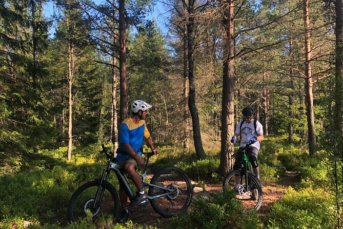Electric Mountain Bike Rental in Oslo - A $10 Rental That Lets You Go Farther Than You Expect