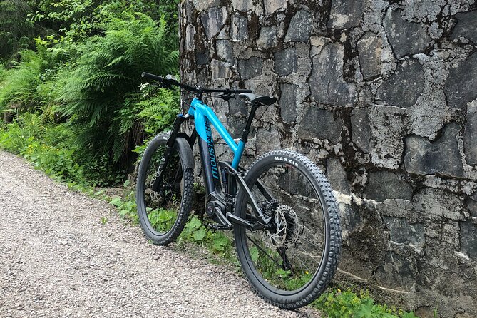Electric Mountain Bike Rental in Oslo - Cannondale and Moustache Bikes, Built for Real Terrain