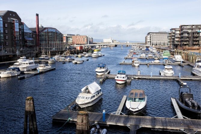Exclusive Guided & Customized Private Oslo City Tour in Limo - Nationaltheatret: a quick cultural moment near the center