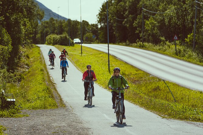 Explore Tromso by E-bike - Guided Ride on Electric Bike in Tromso - Stop 2: Prestvannet Lake, birds, and a calmer pause
