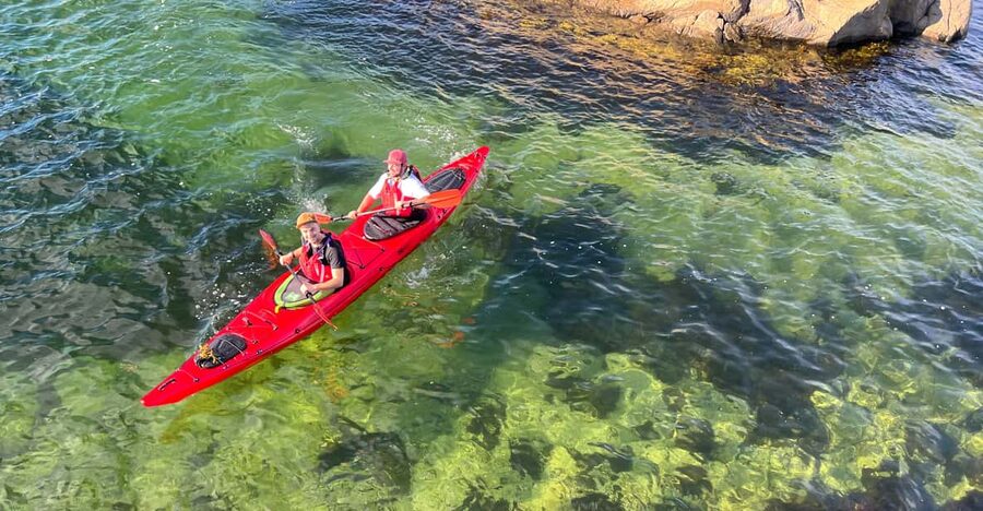 Færvik: Raet National Park Sea Kayaking Trip - Price and Value for a 3-Hour Guided Kayak Day in Agder