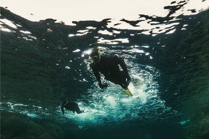 Family Snorkeling Tour - RiB boat transfers from Ballstad: faster access, more sea air