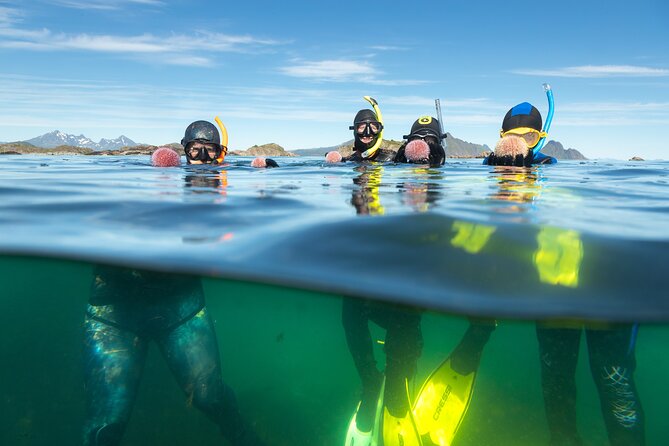Family Snorkeling Tour - The small group, max 10, and why it matters for kids