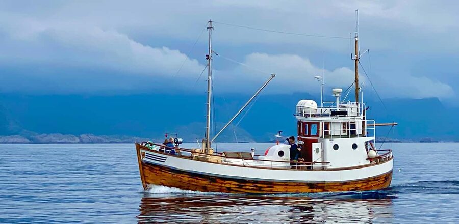 Fishing trip from Henningsvær - The 3-hour plan, step by step