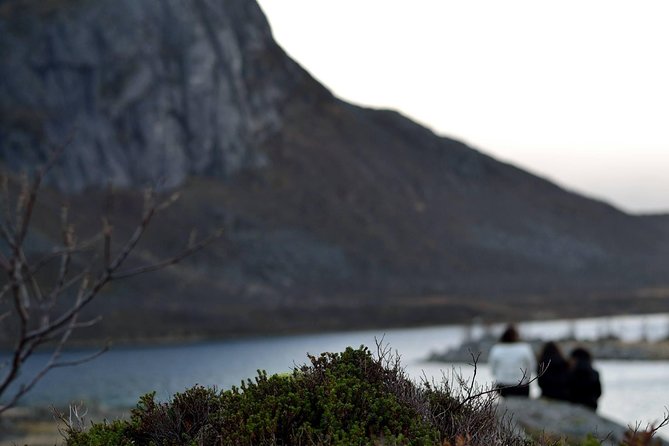 Fjord Expedition: Arctic Adventure Awaits - Who This Tour Fits Best in Your Tromsø Plan