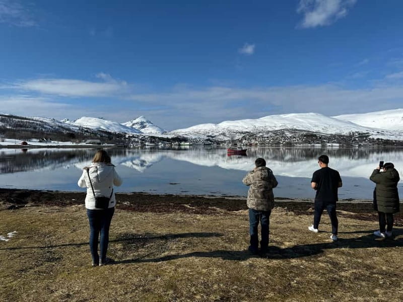 Fjord Foto Tour to Sommaroy (Roadtrip) - Arctic Wildlife Odds: How to Get the Best Chance
