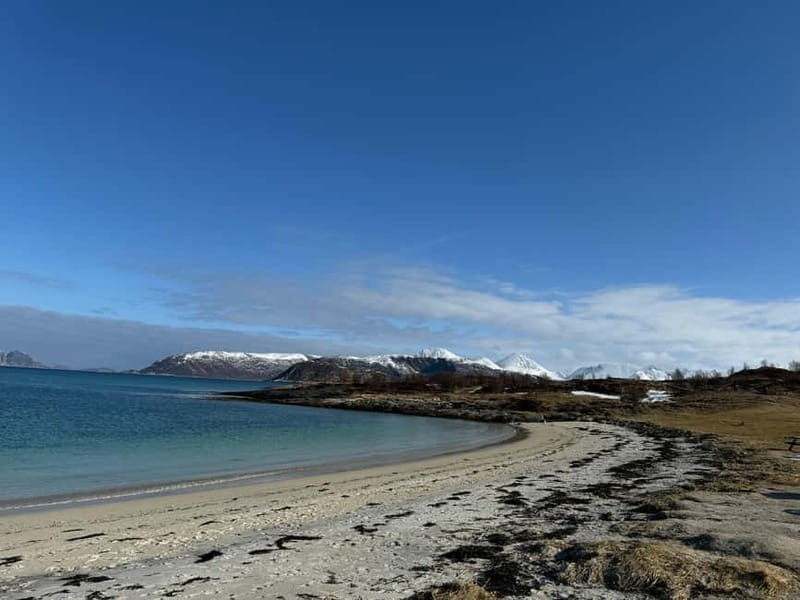 Fjord Foto Tour to Sommaroy (Roadtrip) - Seasons in the Arctic: What Changes Year-Round