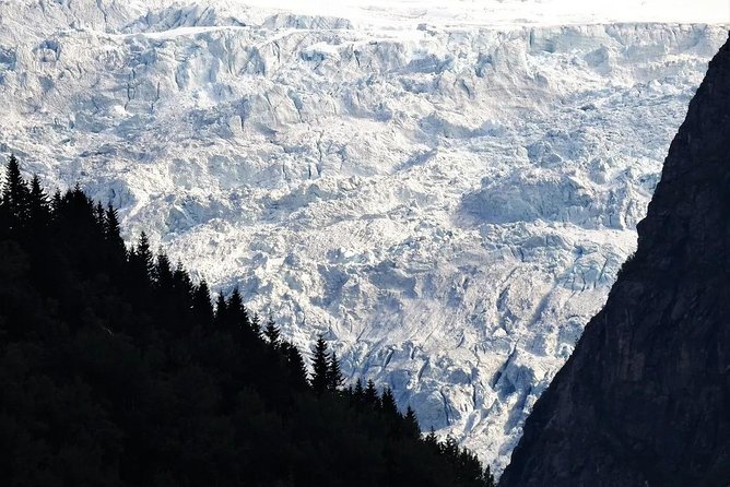 Fjord & Glacier Tour - From VOSS - Key Points You’ll Care About