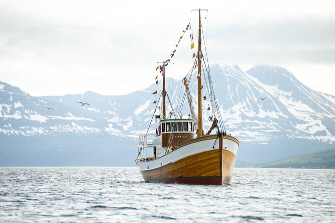 Fjord & History Cruise - Hermes II: The Restored Wooden Boat Behind the Stories