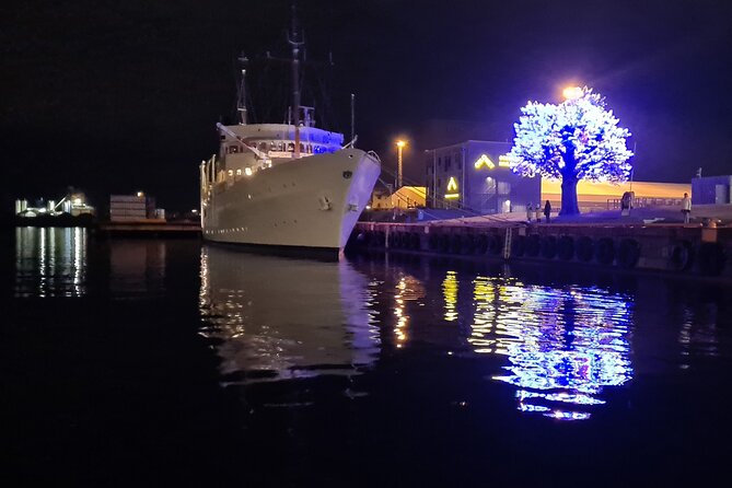 Fjord Houseboat Cruise in Oslo. 100 % electric. BYO - Stop 1: the sculpture park area and Oslo Tree views
