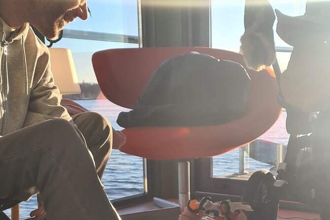 Fjord Houseboat Cruise in Oslo. 100 % electric. BYO - Captain Web: guide, or total quiet