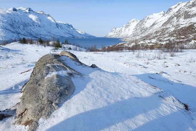 Fjord, Mountain and Wildlife Tour - Warm Thermal Suites and Hot Drinks, Because Tromsø Is Cold