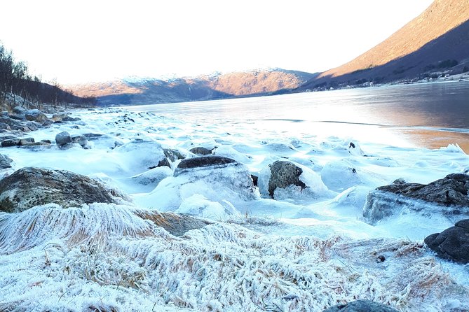 Fjord, Mountain and Wildlife Tour - Weather Is the Boss, and the Guide’s Job Is to Make It Work