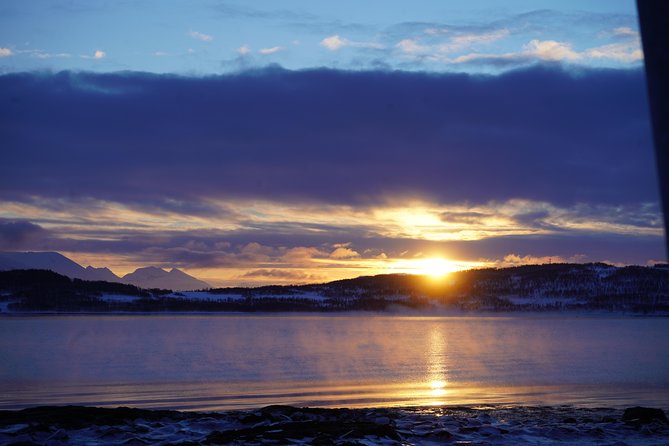 Fjord, Mountain and Wildlife Tour - Photography and Comfort: Where You Sit Changes Your Experience
