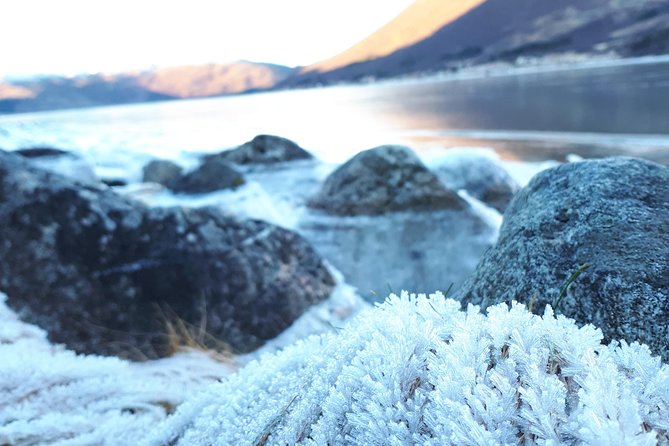 Fjord, Mountain and Wildlife Tour - Value and Price: Why This Costs About $123 and Who It Helps Most