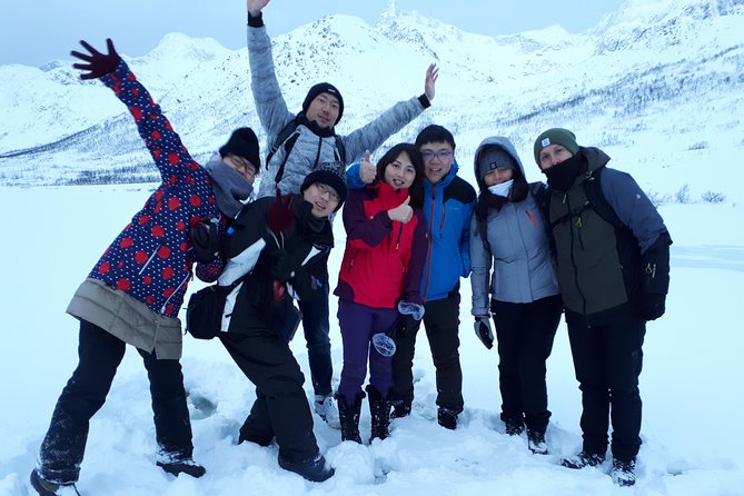 Fjord, Mountain and Wildlife Tour - Who Should Book This Tour (and Who Might Self-Drive Instead)