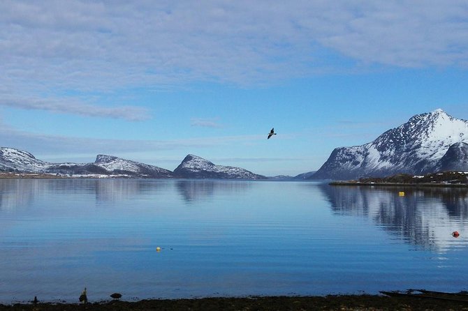 Fjord, Mountain and Wildlife Tour - The Fjord Route: What Each Stop Is Really For