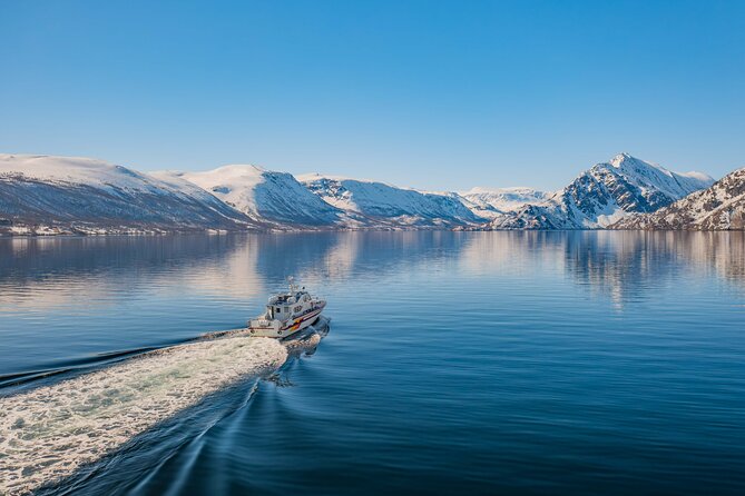 Fjord Safari in the Altafjord - The Altafjord portion: wildlife spotting with a guide who connects dots