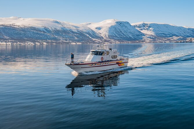 Fjord Safari in the Altafjord - Heading toward the Langfjord entrance: serene waters and mountain walls