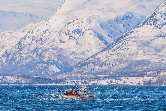 Fjord Safari in the Altafjord - Group size, pacing, and how much you have to stand