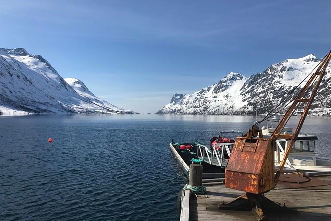 Fjord Sightseeing - Eco friendly Tesla Model X - Tromsø Fjords in a Tesla Model X: Why This Format Feels Smarter