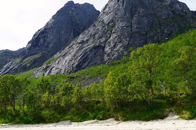 Fjord Sightseeing - Eco friendly Tesla Model X - Aurora Borealis Chances: How to Think About Northern Lights on This Route