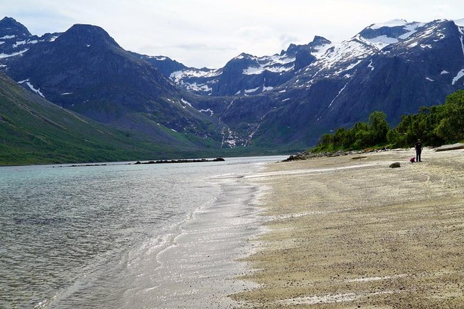 Fjord Sightseeing - Eco friendly Tesla Model X - Eco-Friendly Tesla Travel: What Electric Comfort Adds in the Arctic
