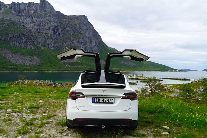 Fjord Sightseeing - Eco friendly Tesla Model X - Price and Value: What $171.16 Per Person Really Buys