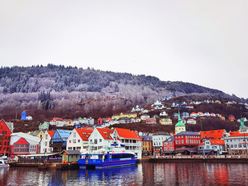Flåm Flexible Tour with Stegastein, cruise and train include - One Day, Three Ways to See the Fjords (Car, Boat, Train)